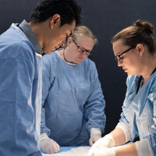 Veterinary team in a hands-on anaesthesia training session
